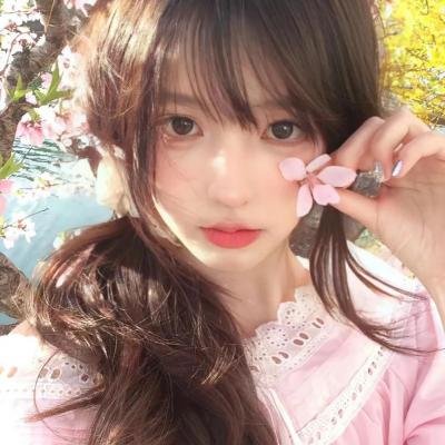 企鹅之岛:福克兰